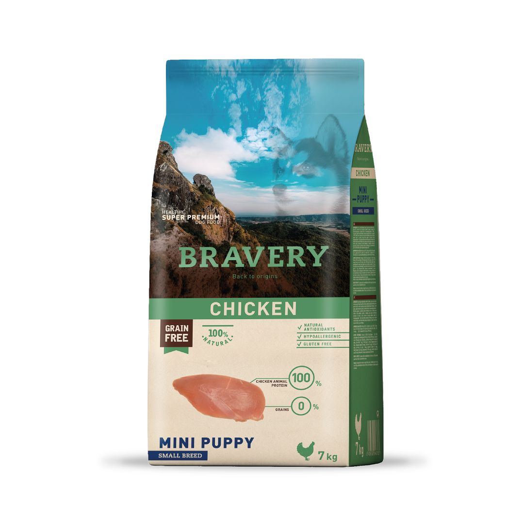 Bravery chicken perro mini puppy 7KG