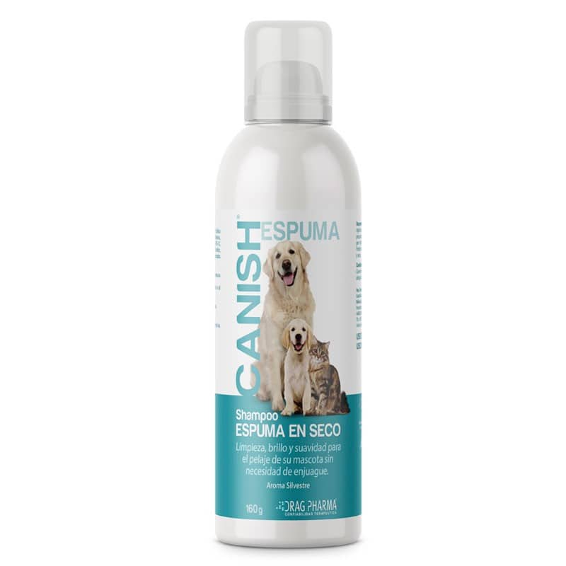 Espuma Shampoo en Seco Canish 160GR Drag Pharma
