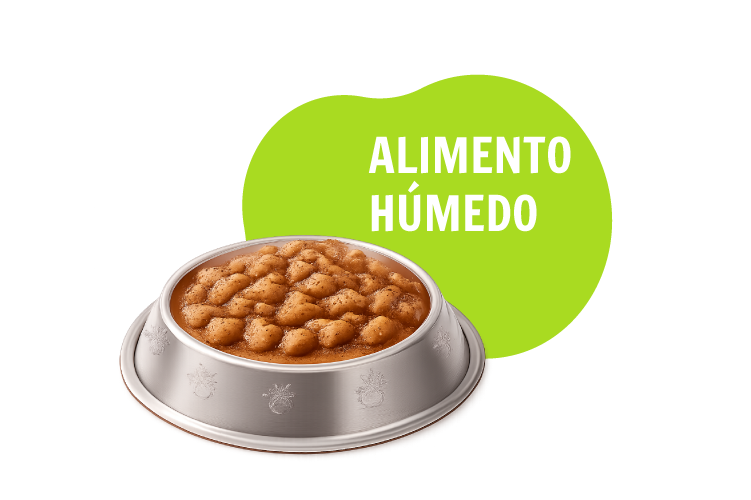Alimento Húmedo