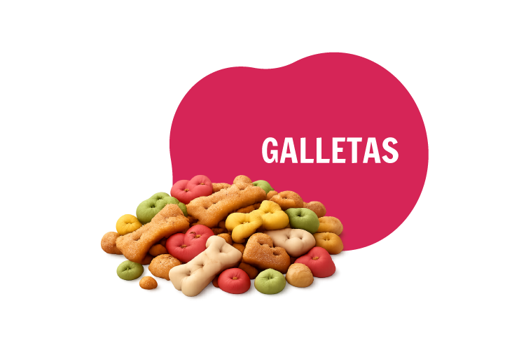 Galleta
