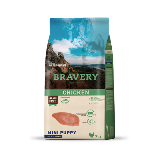 Bravery chicken perro mini puppy 7KG