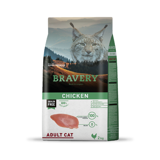 Bravery chicken gato adulto 2KG