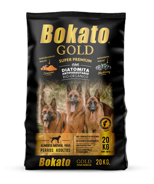 Bokato gold perro 20KG